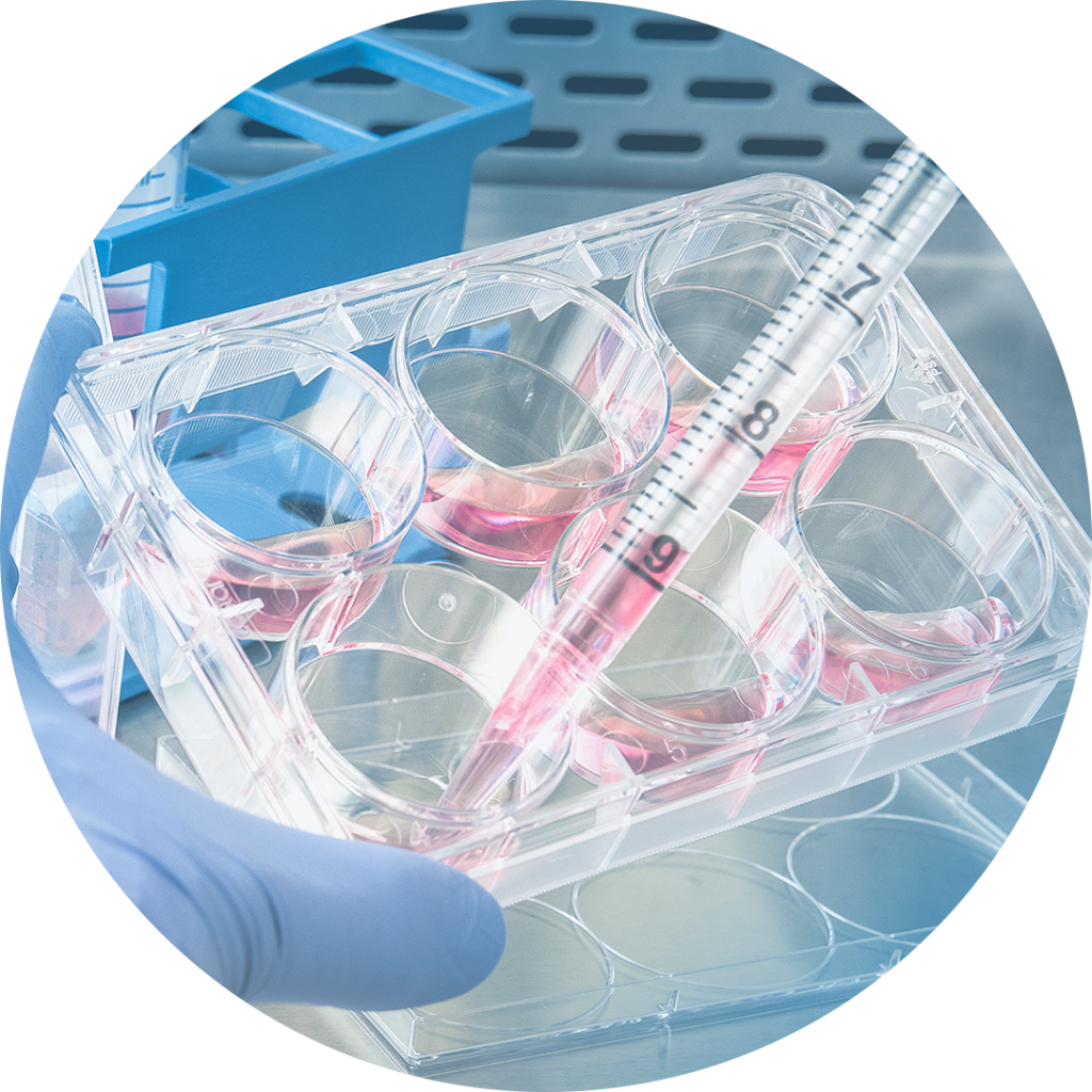 Laboratory & Cleanroom – Main Zone